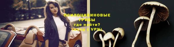 кокаин перу Богданович